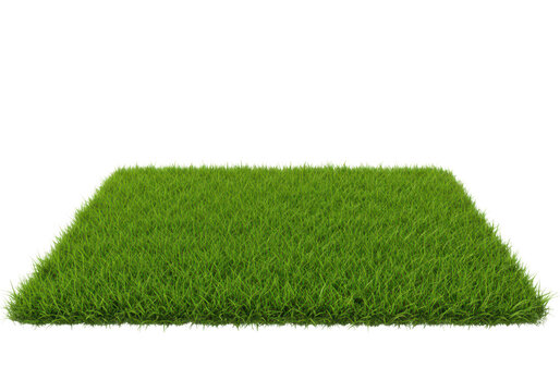 A square patch of vibrant green grass viewed from a low angle, isolated on a transparent background