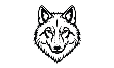 Fototapeta premium Detailed Vector Line Drawing of Wolf Face in Front View