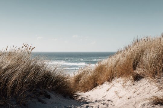 Serene coastal scene; path through sunlit sand dunes, tall beach grasses framing a tranquil ocean view under a clear sky