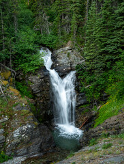 Obraz premium Water Fall Rushes Through The Valley Along The Falls Creek In Glacier