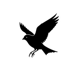 Obraz premium Silhouette of a bird in flight, wings spread, against a white background.