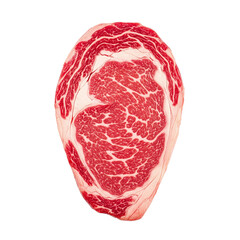 Obraz premium Raw Ribeye Steak with Marbling on a Transparent Background