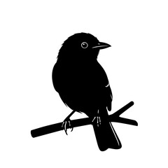 Silhouette of a bird perched on a branch, isolated against white background.