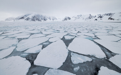 Floating ice on the ocean with mountains in the background in the arctic of Svalbard, Norway © Reto Ammann