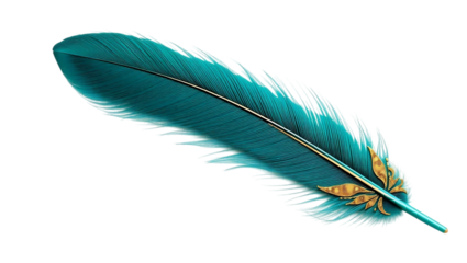 Teal Feather with Gold Accents Elegant Design
