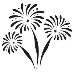 Fototapeta premium Black and White Minimalist Fireworks