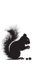 Obraz premium Squirrel silhouette. Squirrel concept eating nuts,black silhouettes isolated on white background