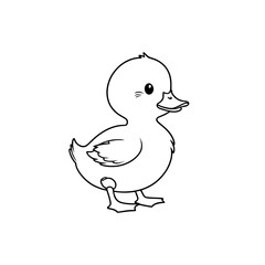 Cute Duckling Standing in Side View