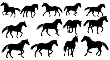 Horse Silhouette Collection: An impressive series of dynamic horse silhouettes galloping, capturing the grace and power of equine movement with a sense of timeless elegance.