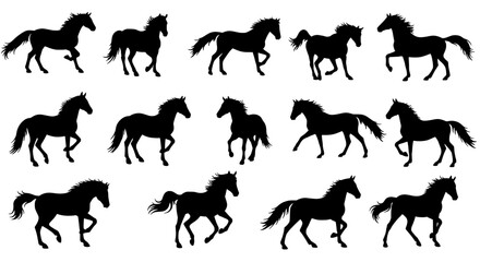 Horse Silhouette Sequence: A dynamic sequence of horse silhouettes, capturing the fluid movement of the equine form. 