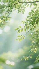 Sunlit Green Leaves with Dew Drops in a Misty Forest