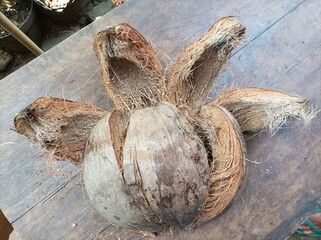 Coconut fiber as a material for handicrafts