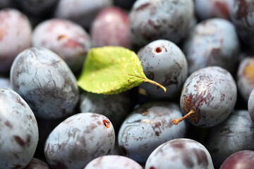 plums
