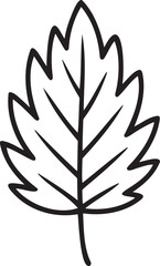 Leaf Outline vector illustration isolated On Transparent Background