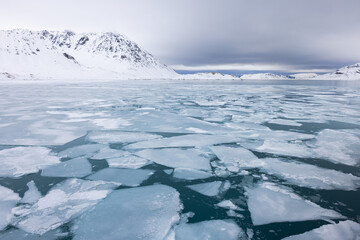 Floating ice on the ocean with mountains in the background in the arctic of Svalbard, Norway © Reto Ammann