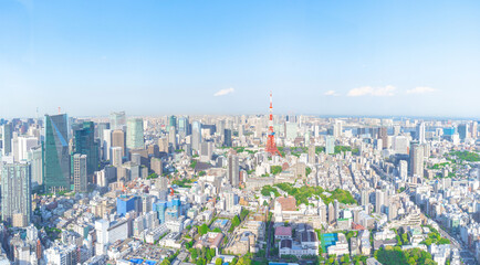 panoramic, tourist attractions in the city park of Tokyo, Asia business concept image, panoramic modern cityscape building in Japan.   