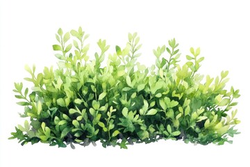 Obraz premium Green bushes illustration watercolor leaves.