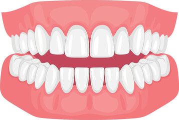 Obraz premium Illustration of a complete set of teeth with a pink gum line on a plain white background