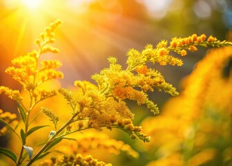 Close-up of goldenrod flowers with delicate petals swaying in sunlight