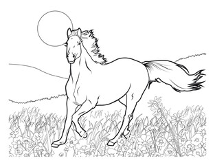 Running Horse Coloring Page