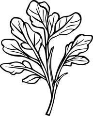 Arugula Leaf Lineart Vector for Logo or Coloring