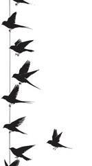 Fototapeta premium Swallow Silhouette On A Wire, black silhouettes isolated on white background