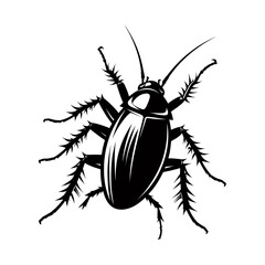 Black beetle insect isolated on white background vector illustration