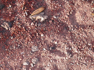 Gravel and soil as background