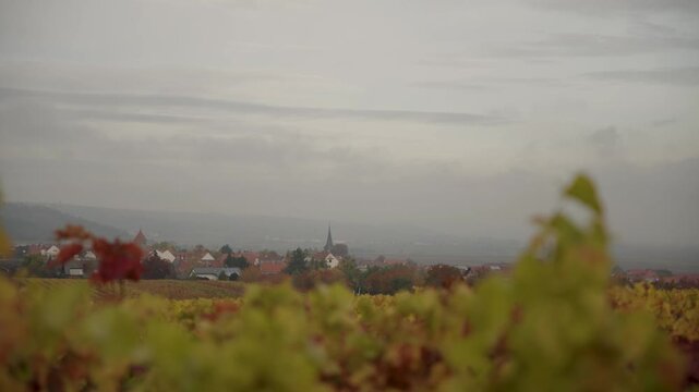 Expansive Autumn Vineyard View with Warm Colored Vines Leading to a Picturesque European Village and Hazy Hills