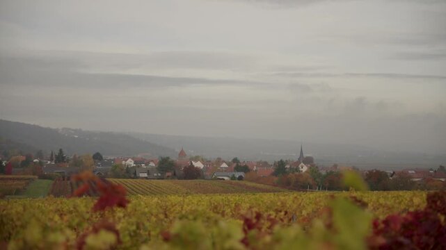 Expansive Autumn Vineyard View with Warm Colored Vines Leading to a Picturesque European Village and Hazy Hills