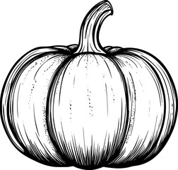 Pumpkin Outline Vector Drawing for Coloring and Logo