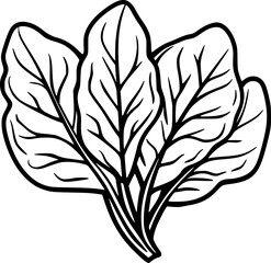 Spinach Leaf Lineart Vegetable Drawing for Coloring Page
