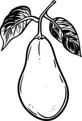 Yam Root Vegetable Lineart Drawing for Coloring Use