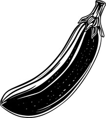 Zucchini Vegetable Outline Vector for Coloring Page