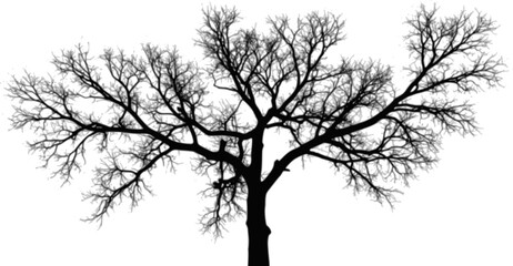 Black and white silhouette of tree branches abstract forest design in pointillism technique overhead top view vector on transparent background natural ink textured artistic composition