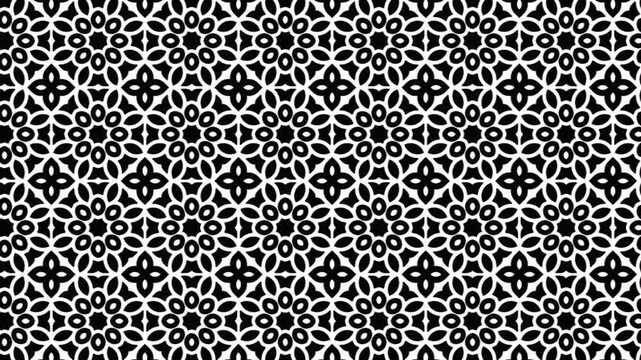 Monochrome Mandala Matrix Seamless Floral Geometry Slide Animation