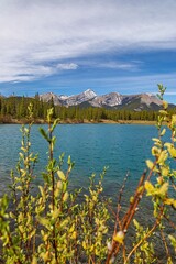 Mountains And Lake Peeking Through Lush Foliage