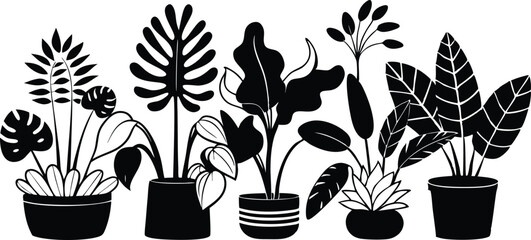 Collection of potted houseplants in a distinctive silhouette style