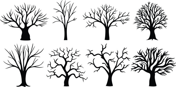 Collection of bare winter tree silhouettes against white background silhouette