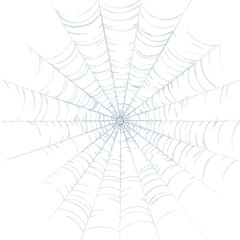 spider web isolated in White Background, spider web vector, Flat lay vector illustration