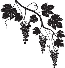 Simple single minimalist grapes in vines black silhouette with white background