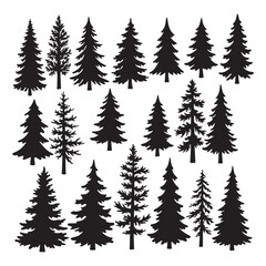 Obraz premium Black silhouette collection of varied stylized evergreen fir trees isolated on white background.