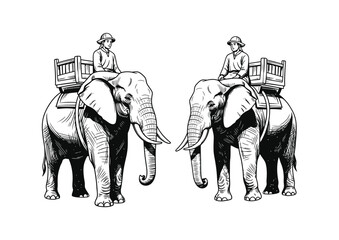 Elephant in Various Poses Set. Front, Side, and Three-Quarter Angle Collection