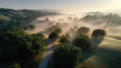 Aerial view of sunlit valley mist