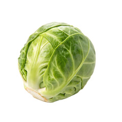 Fototapeta premium One raw organic brussels sprout ready for cooking isolated on a transparent background png