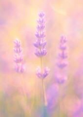 Obraz premium Dreamy lavender blossoms in sunlight.