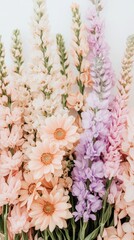 Assorted bloom arrangement in soft pastel colors. Floral display with pink daisies and lilac blooms against a plain neutral setting. Delicate botanical presentation.