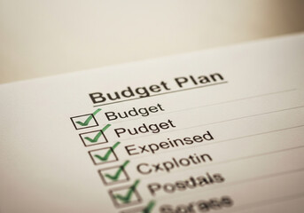 Abstract Budget Plan Checklist with Green Ticks and Nonsensical Words.