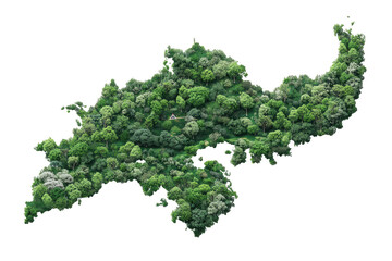 Aerial view of a lush, green island