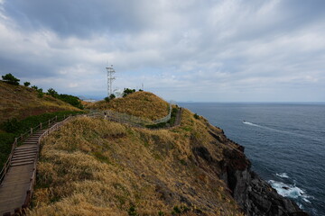 reeds and walkway at seaside cliff